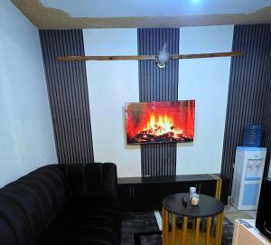 Domis Studio TRM DRIVE