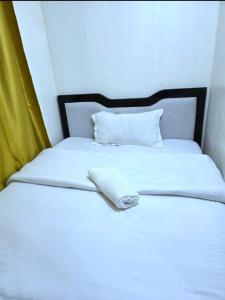 Domis Studio TRM DRIVE