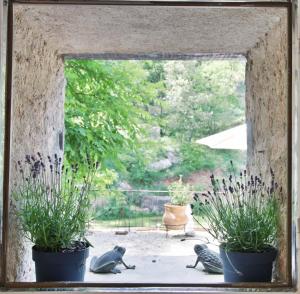 B&B / Chambres d'hotes Le Moulin en Provence : photos des chambres