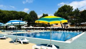 Lovely studio for poolside lovers