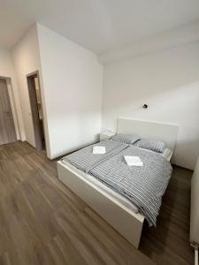 Kolarjeva International House