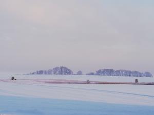 Ferienwohnung Zimmermann