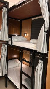 Basil Hostel