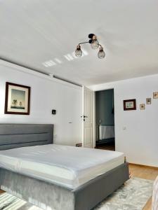 Parc Vatra Dornei 4 - Family, couples & groups