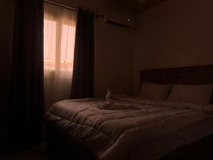 Aladdin Sphinx & Pyramid Stay