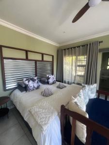 Sasa Safari Camp & Tours