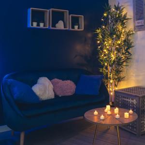 Mon Nid dAmour - Jacuzzi Privatif - Centre Ville du Mans