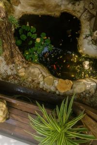 Il Giardino di Chiara img20