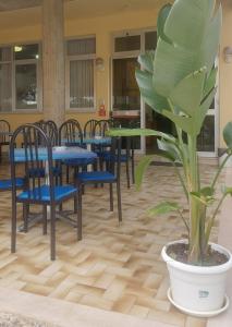 Hotel Holiday Garnì - Pet Friendly
