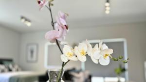 Obs Centre The Lookout