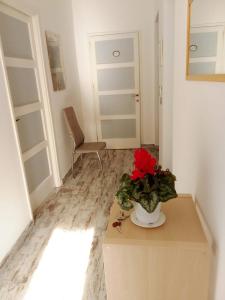 Casa Valle dei Casali near St Peters Basilica