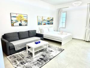Newly Furnished, Bright and Spacious Studio in France Cluster, International City