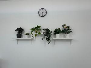 Newly Furnished, Bright and Spacious Studio in France Cluster, International City