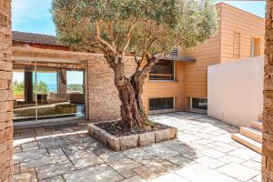 Villa Terra di Palombaggia