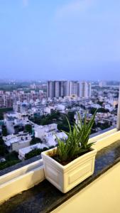 Skylight Studio - 13th Floor Escape