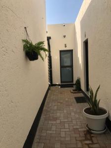 ECO-WILD Luxury Suites