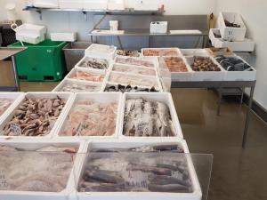 Holiday Home Golubinka - 500m from the sea by Interhome