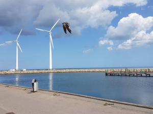 Holiday Home Golubinka - 500m from the sea by Interhome