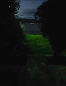 Sea view luxury apartment