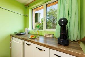 Sunflower Studio next to Kolodrum Plovdiv