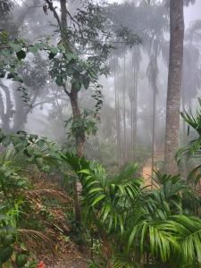 Mithun Homestay Ella