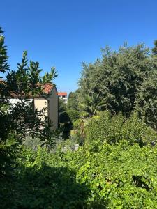 Bianco Deluxe Apartment