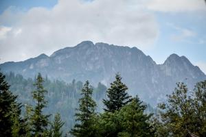 Apart4Sleepers Domki Dadejowka Centrum Zakoapne