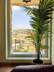 Alojamientos de turismo rural LA ESMERALDA