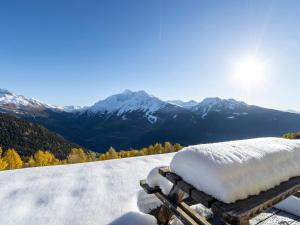 Chalet traditionnel proche des pistes avec grande terrasse - FR-1-690-29
