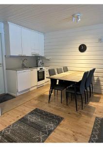 Levin Kalle A1 Visit Levi