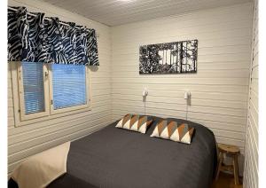 Levin Kalle A1 Visit Levi