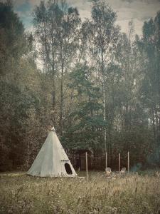 Zariņmājas Mistērija