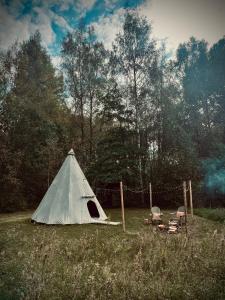 Zariņmājas Mistērija