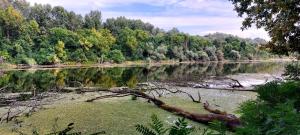 Kicsi Rigó Nyaralóház