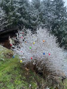 Ferienhaus Klenkes - entschleunigen und erholen