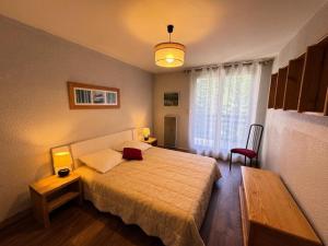 Résidence Plaine Alpe 2 - Appartement · Lumineux · Proche des pistes · Balcon MAE-4763