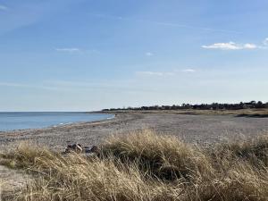 Apartment Skade - 10m from the sea by Interhome