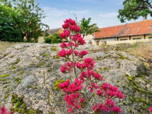 Holiday Home Øde - 100m from the sea by Interhome