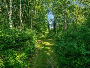 Holiday Home Patrice - 300m from the sea by Interhome