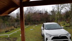 Pucón, casa en parcela