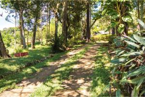 Sitio Primavera Ibiúna