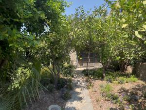 Luxury Stone Villa with Private Pool