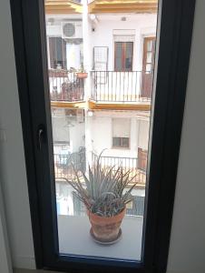 WOWOLIDAYS Suite Love Ronda