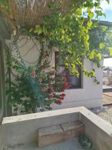 Villa meuble a louer Anakao