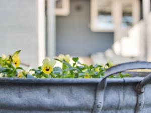 Holiday Home Shaya - 500m from the sea by Interhome