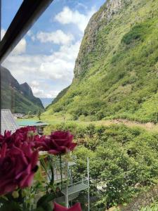 Mèo Vạc Sky Homestay