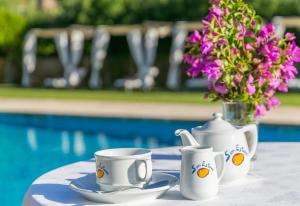 Finca next to Port Andratx pool