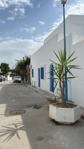 Sunset sidi bou said