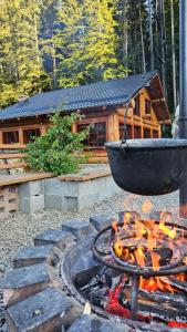 Cabana Perla Muncelului