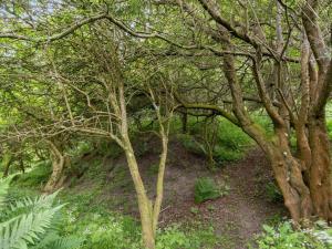 Holiday Home Sorja - 420m from the sea by Interhome